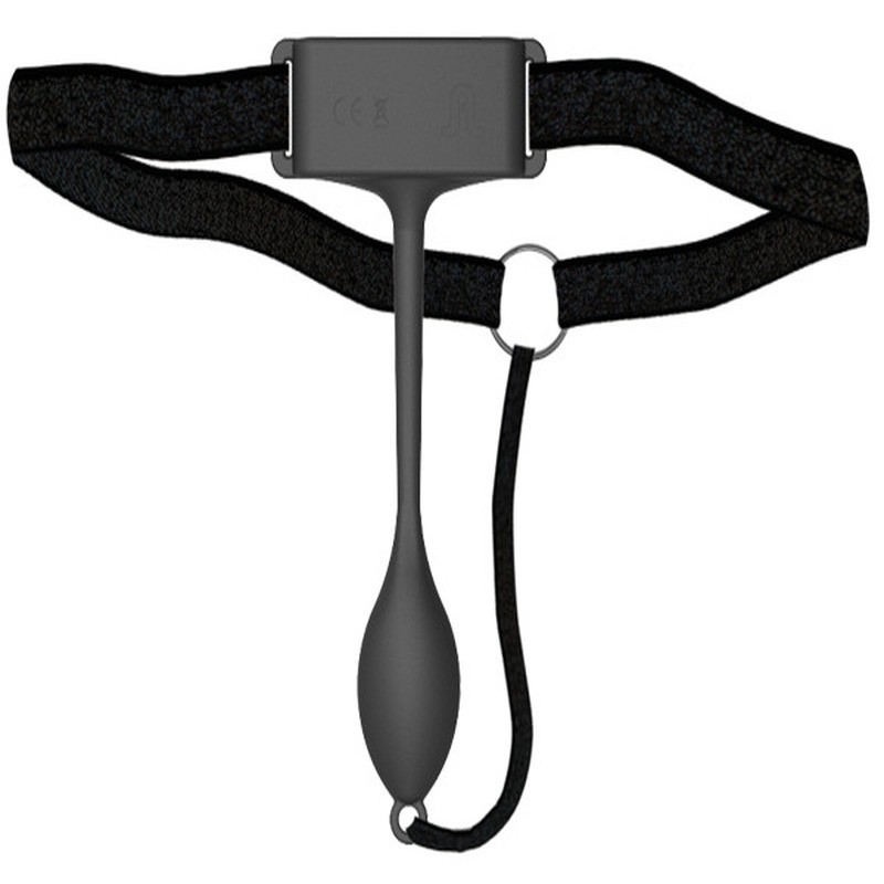VIBRADOR PAN-T VIBE COM COMANDO ADRIEN LASTIC