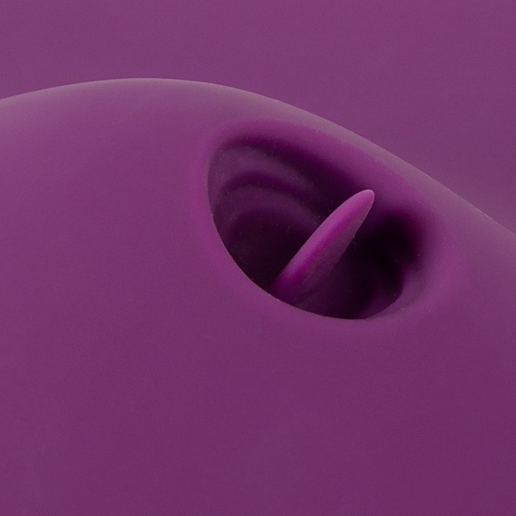 VIBRADOR ALMOFADA VIBEPAD 2 - Image 4